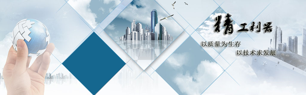 在此处插入徽标